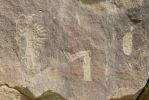 PICTURES/Crow Canyon Petroglyphs - Big Warrior Panel/t_P1200048.JPG